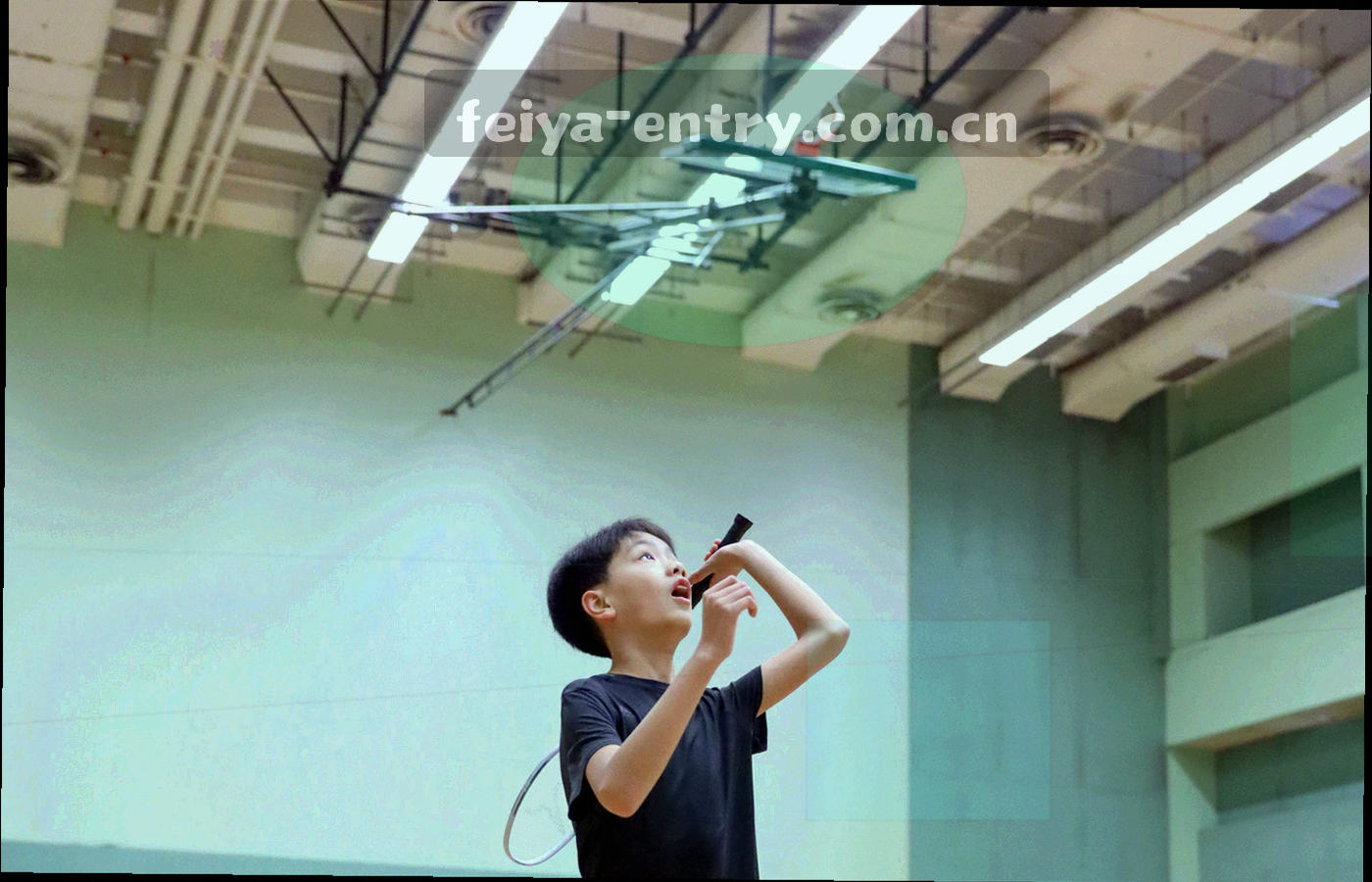 观众席灯光与人潮剪影，广角突出看台层次